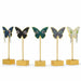 Butterfly Earring Stand（5 pcs per pack） - Jewelry Packaging Mall