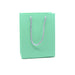 Monotone Simplistic Shopping Bag (10 pcs Per Pack) - Jewelry Packaging Mall