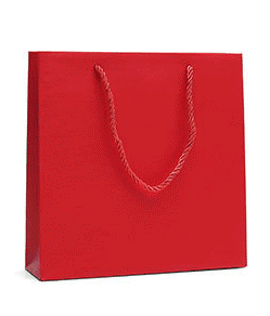 Economy Fancy Paper Shopping Bags (50 pcs Per Pack) - Jewelry Packaging Mall