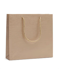 Economy Fancy Paper Shopping Bags (50 pcs Per Pack) - Jewelry Packaging Mall