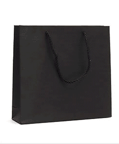 Economy Fancy Paper Shopping Bags (50 pcs Per Pack) - Jewelry Packaging Mall