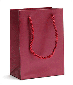 Economy Fancy Paper Shopping Bags (50 pcs Per Pack) - Jewelry Packaging Mall